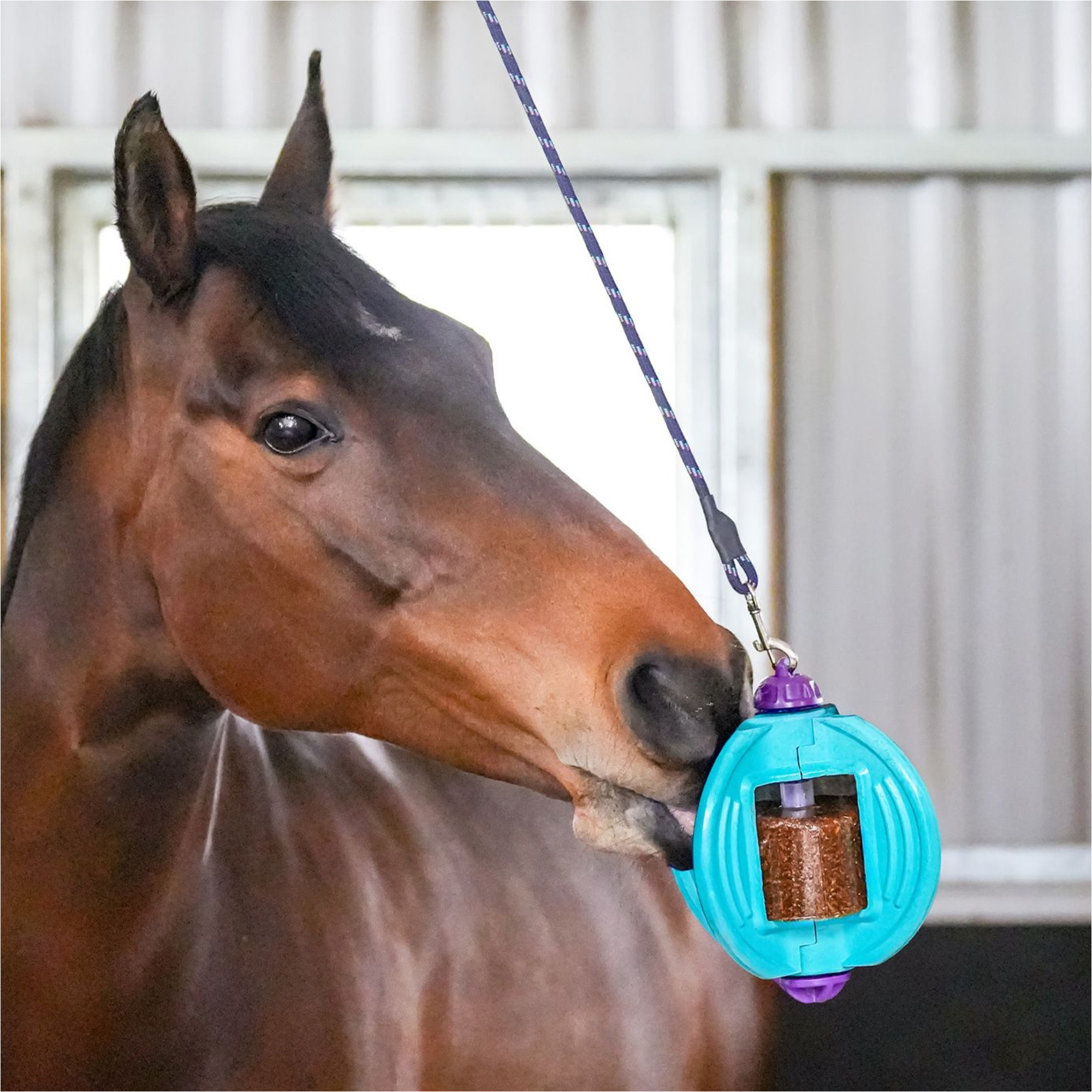 2026 Bizzy Horse Bizzy Ball 1571056 - Aquamarine